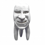 Hinrichova sbírka zubů ''Joachim'' sádrové zuby