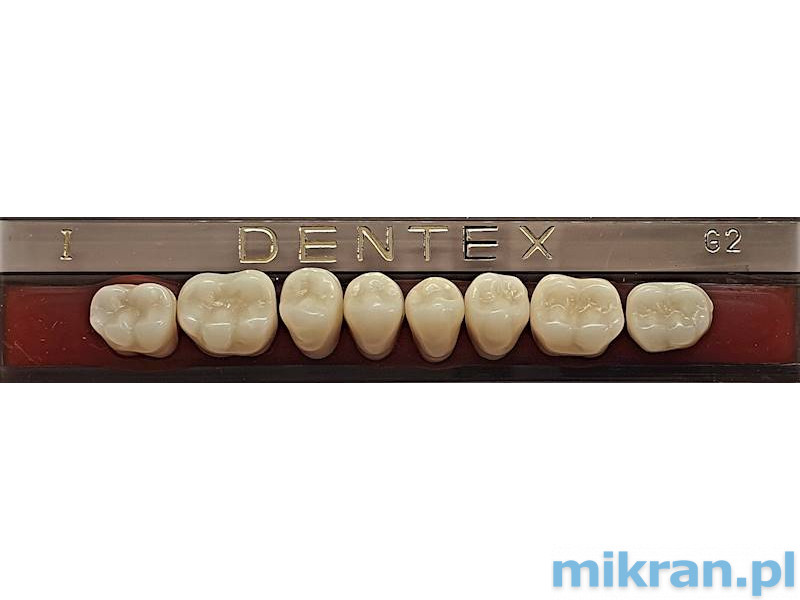 Boční zuby Dentex 8 ks