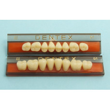 Boční zuby Dentex 8 ks