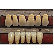 Přední zuby Dentex 6 ks