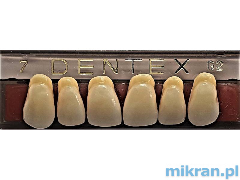 Přední zuby Dentex 6 ks